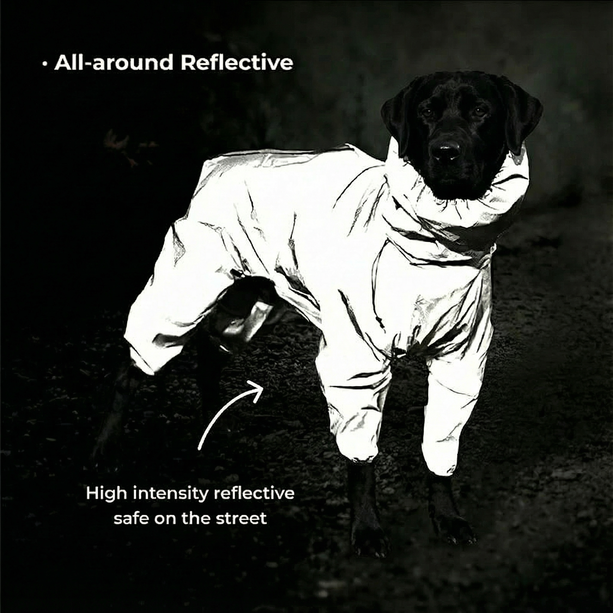 Dog Harness Dog Rain Jacket Waterproof Reflective All-Weather