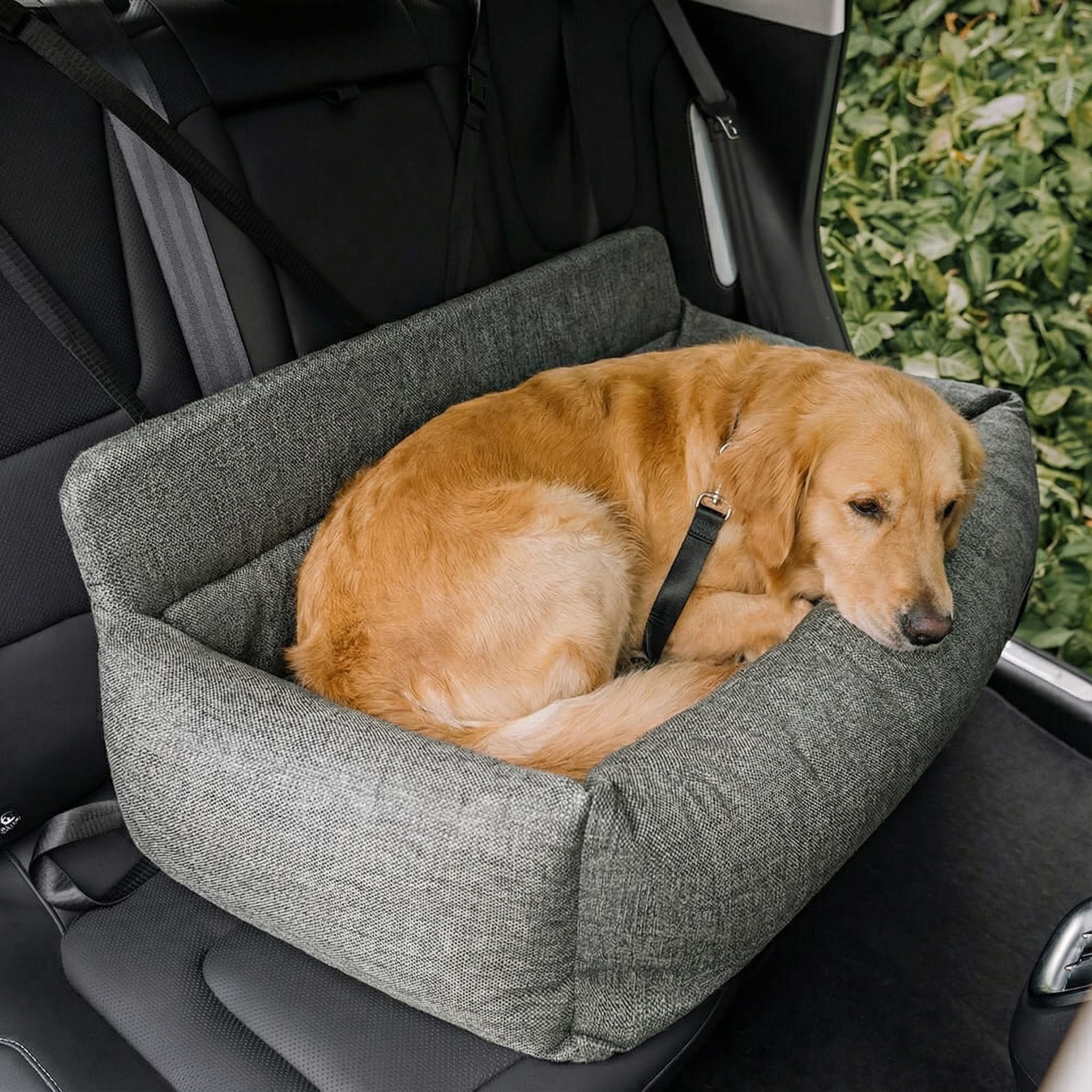 Dog Car Seat Dog Back Seat Bed Travel Bolster Washable Non-Slip Nylon